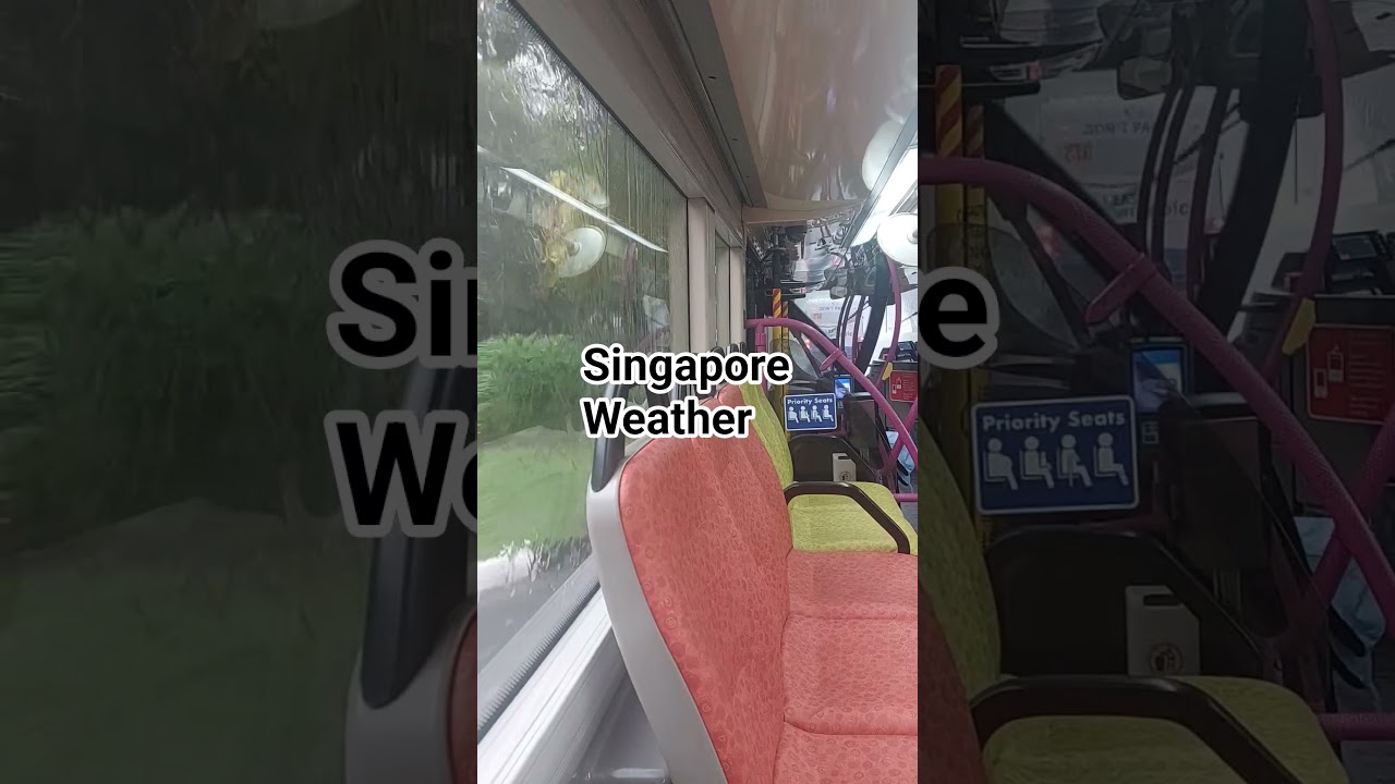 Intense Rainstorm Hits Singapore 🌧️ | Weather Update #shortvideo