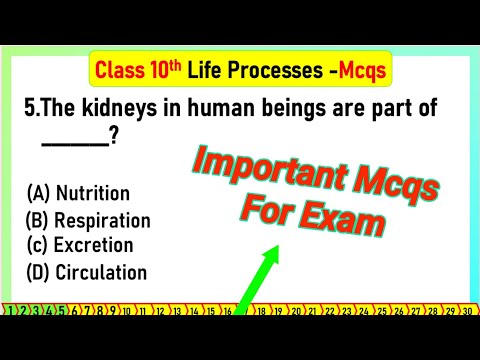 life process mcq class 10 | MCQ Questions for Class 10 Science Life Process with Answers