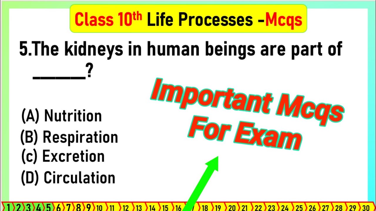Top MCQs on Life Processes for Class 10 Science 📚 | Practice Questions with Answers