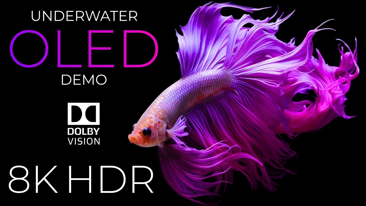 Underwater Life OLED Demo in 8K HDR 🌊