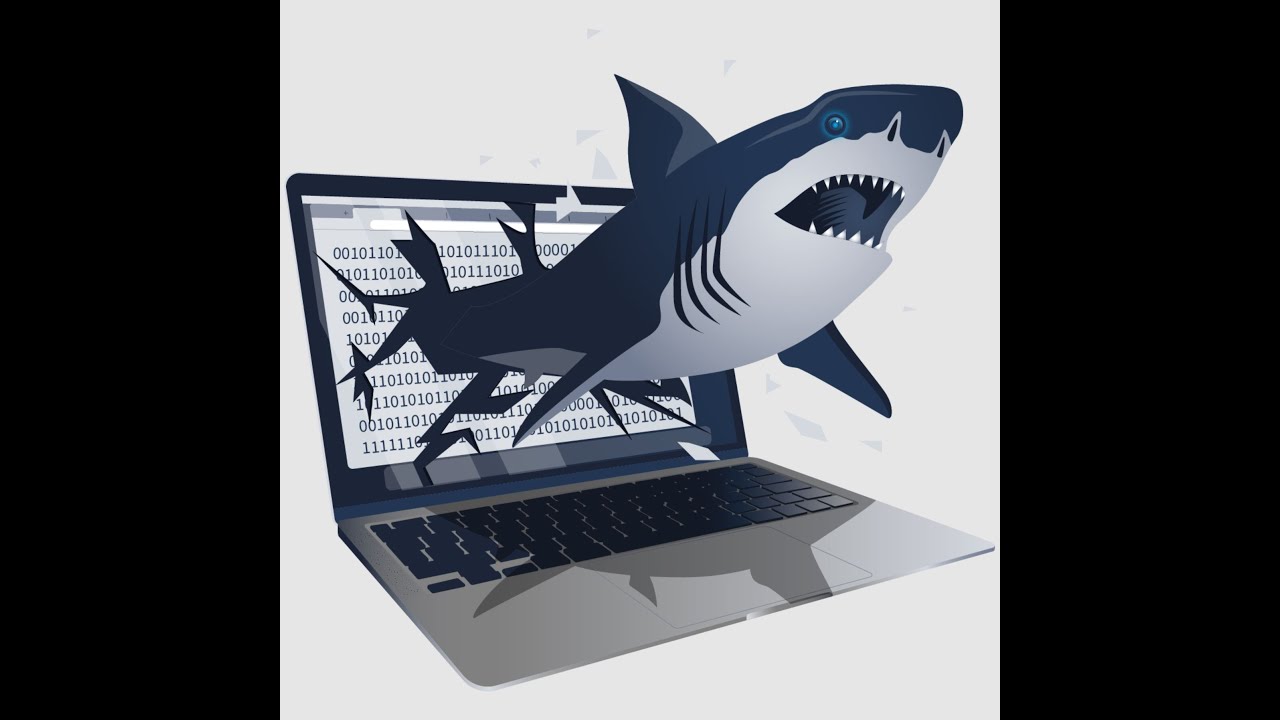 TShark Basics Walkthrough | TryHackMe SOC Level 1
