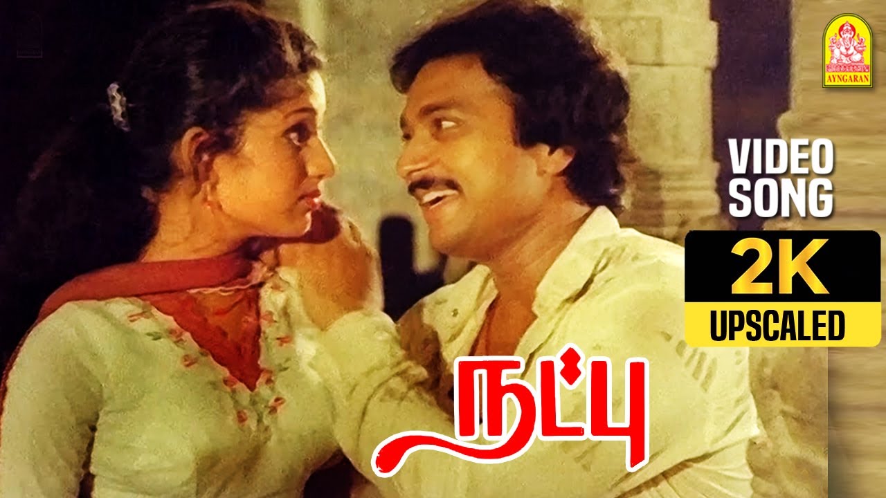 Adi Maadi Veettu - 2K Video Song | அடி மாடி வீட்டு மானே | Natpu | Karthik | Sripriya | Ilaiyaraaja