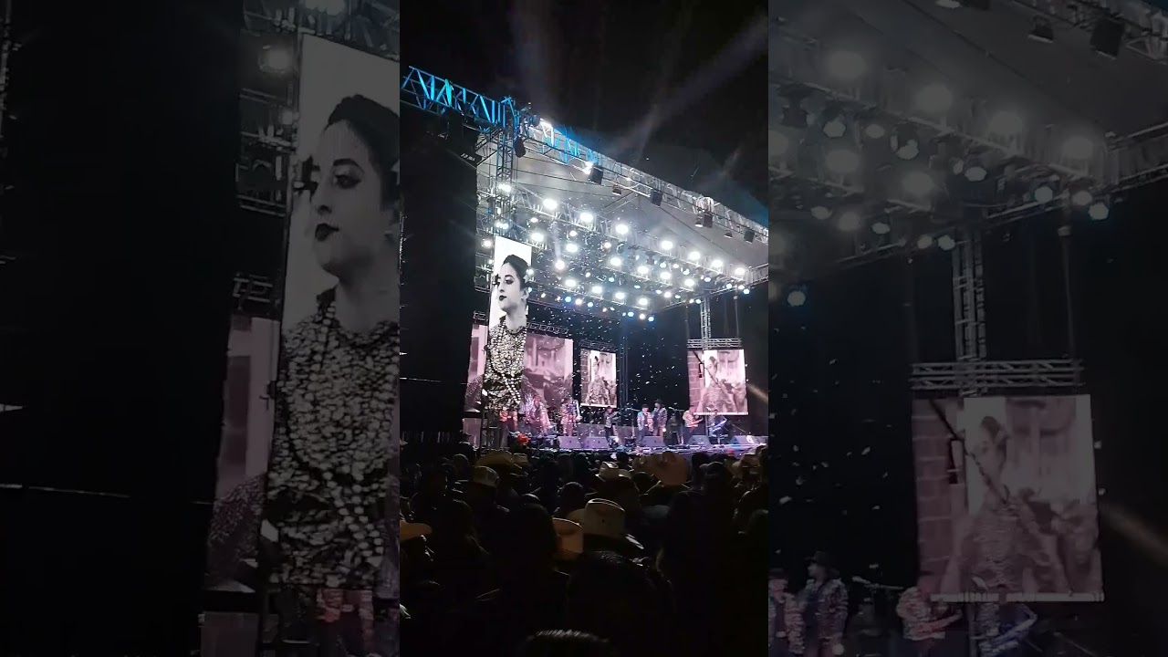 Jony Ramírez Sultepec 2024 | El Huizache