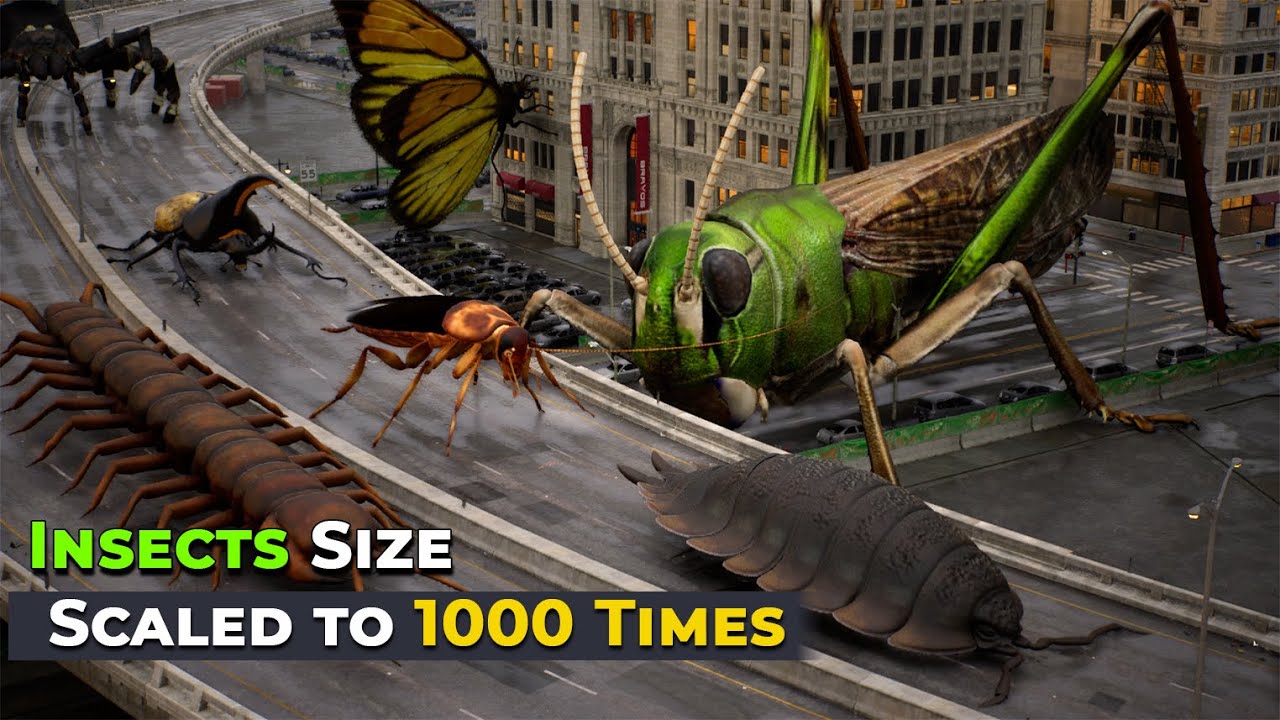 Insects 1000x Larger: Imaginary Size Comparison 🐞