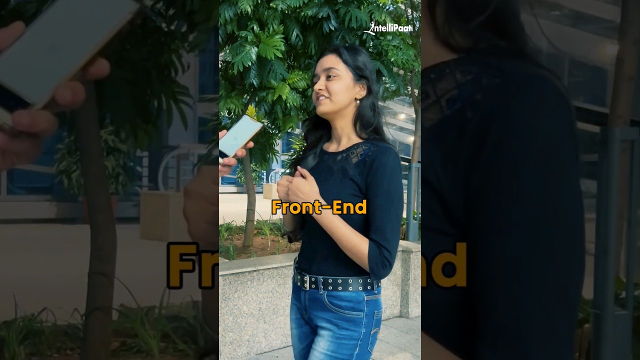 Front End Developer Salary Insights 💻