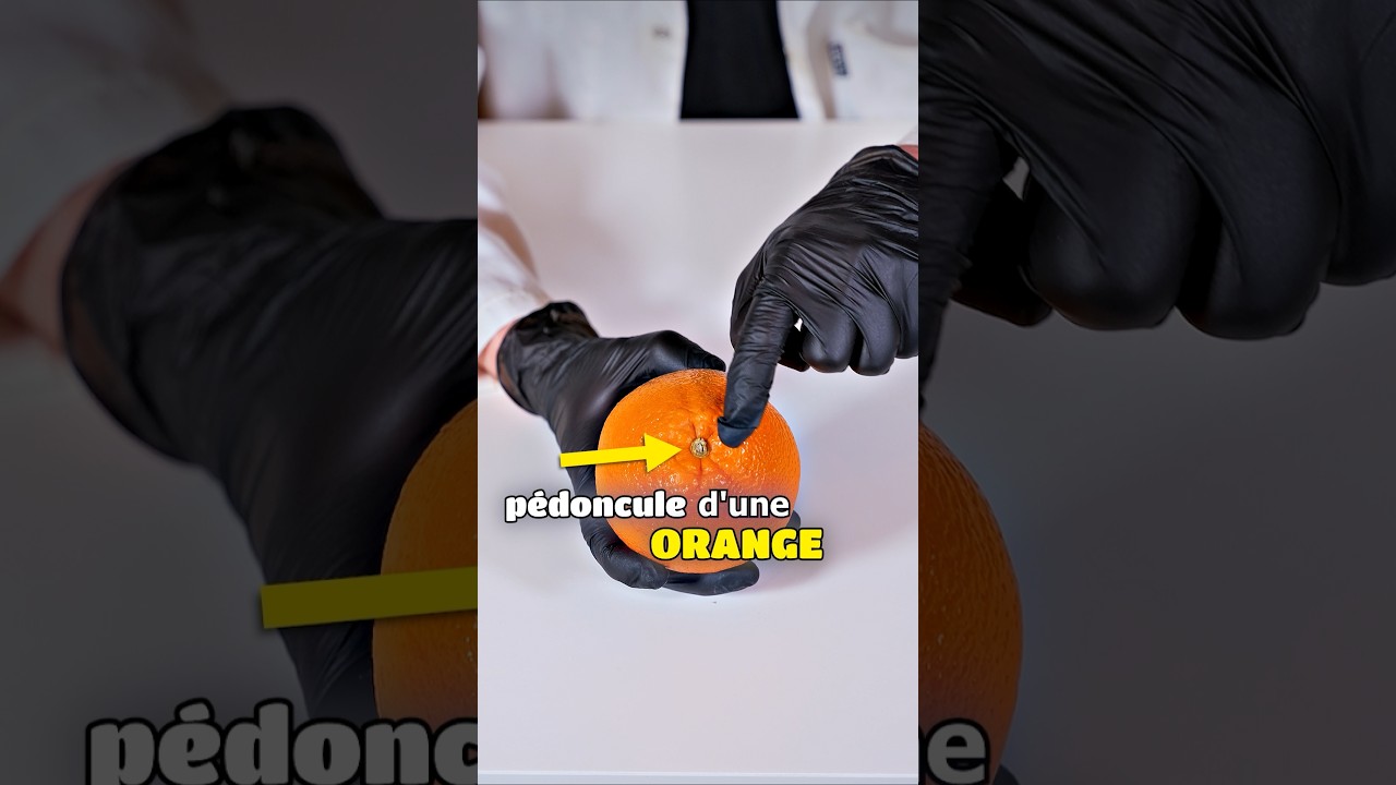 Astuce pour compter les quartiers d'une orange 🍊