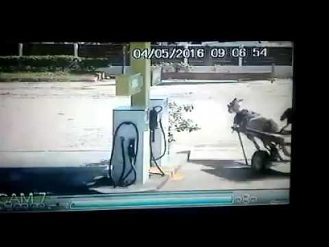 Fokaha 2017: Key Highlights