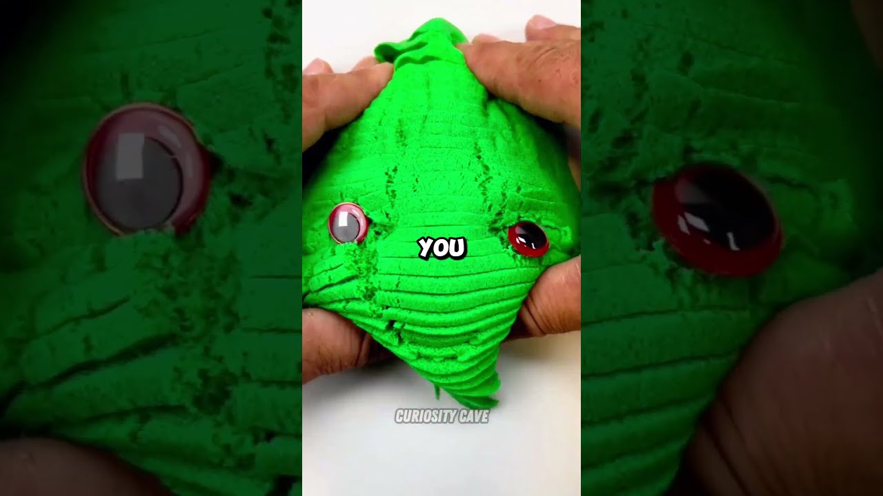 A Humorous Encounter: Locking the Door