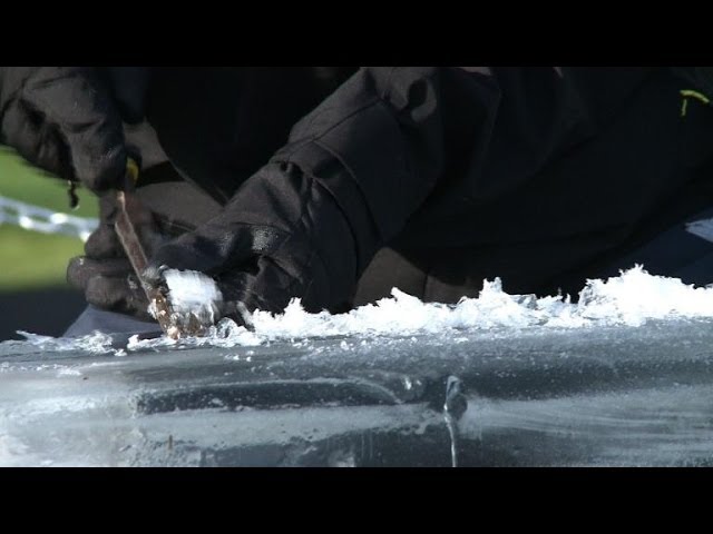 Exciting Ice Sculpting Competition Kicks Off at London Festival ❄️