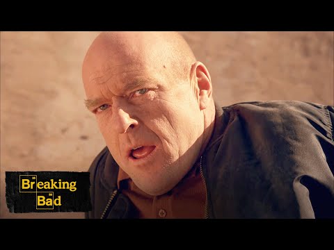 Hank's Final Moments | Ozymandias | Breaking Bad