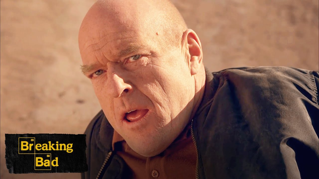 Hank's Final Moments | Ozymandias | Breaking Bad