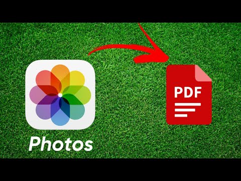 How to Convert Photos to PDF on iPhone (2023)