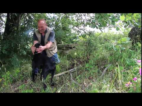 Auf Trüffelsuche in Umbrien