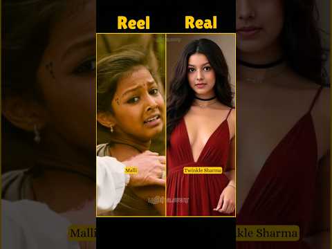 RRR movie cast Reel & Real Lifestyle #rrr #ramcharan #jrntr #aliabhatt #shriyasaran #ajaydevgan