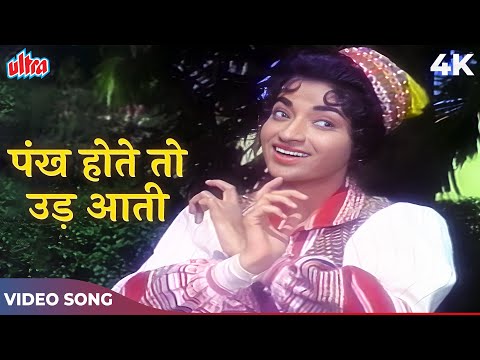 पंख होते तो उड़ आती,तुझे दिल का दाग़ दिखलाती रे.. 4k Sehra1963 | Lata Mangeshkar Songs | Sandhya |