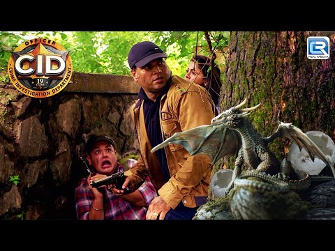 CID Team निकली एक Wild और Risky Adventure पर | CID | सी.आई.डी | Full Episode 1269