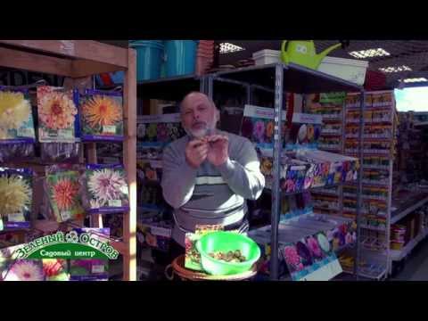 "Зеленый Остров" Консультации садоводам Сидельников А.И. Выпуск 1