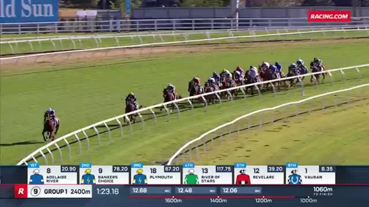 Half Yours Wins 2025 Caulfield Cup 🏆