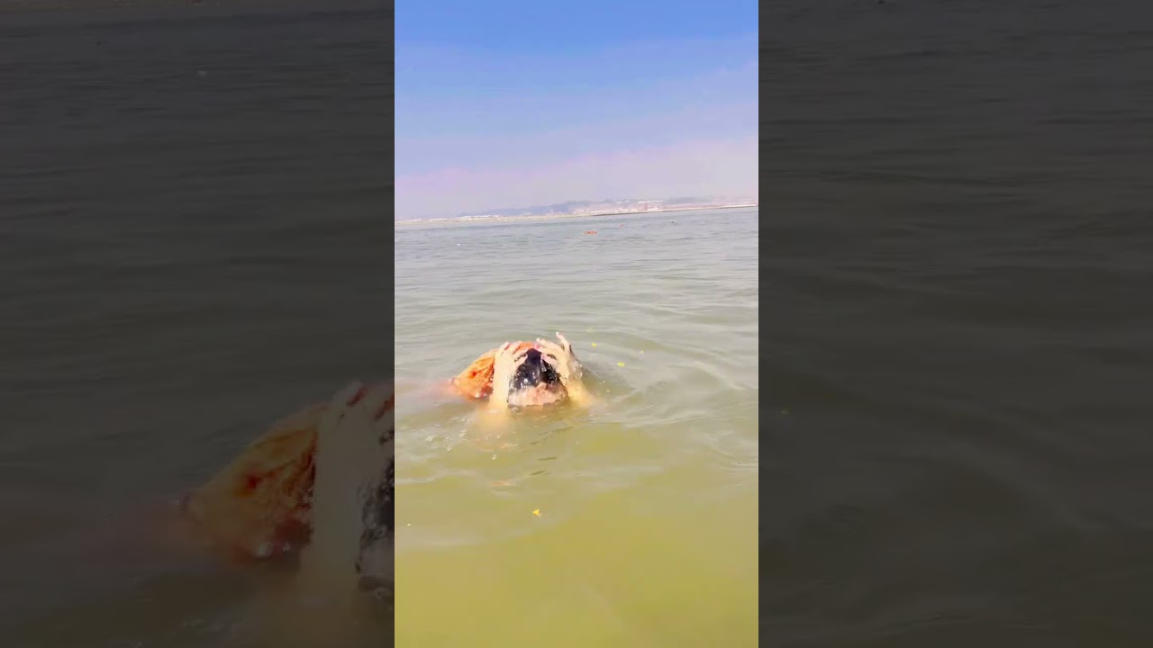 Jai Ganga Maiya 🙏