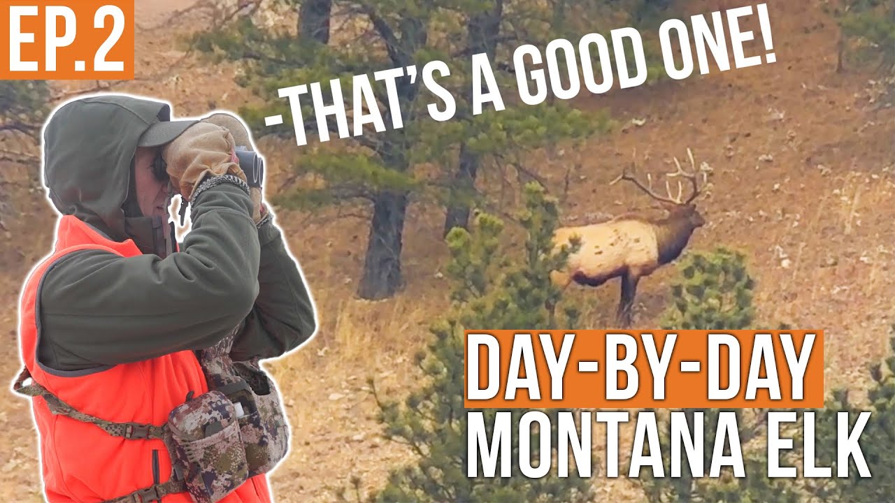 Epic Montana Elk Hunt: Bull Elk Encounters & Tips 🦌 (EP.2)