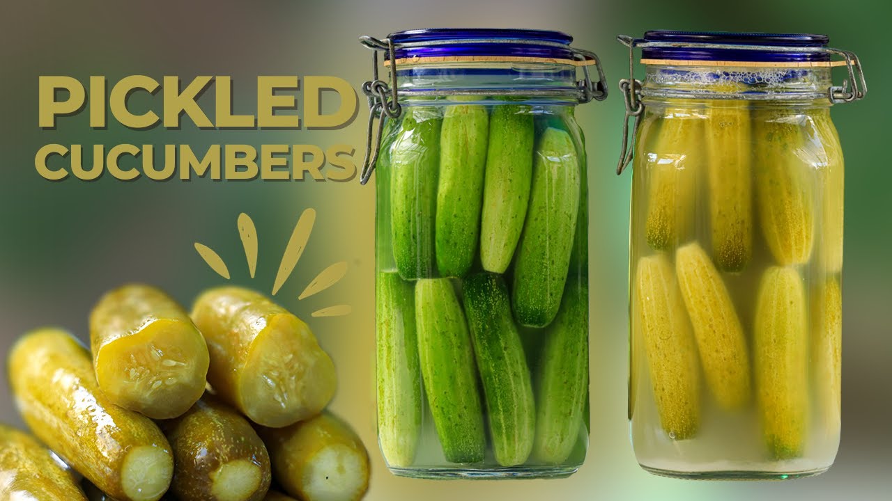 Quick & Easy Pickled Cucumber Recipe 🥒
