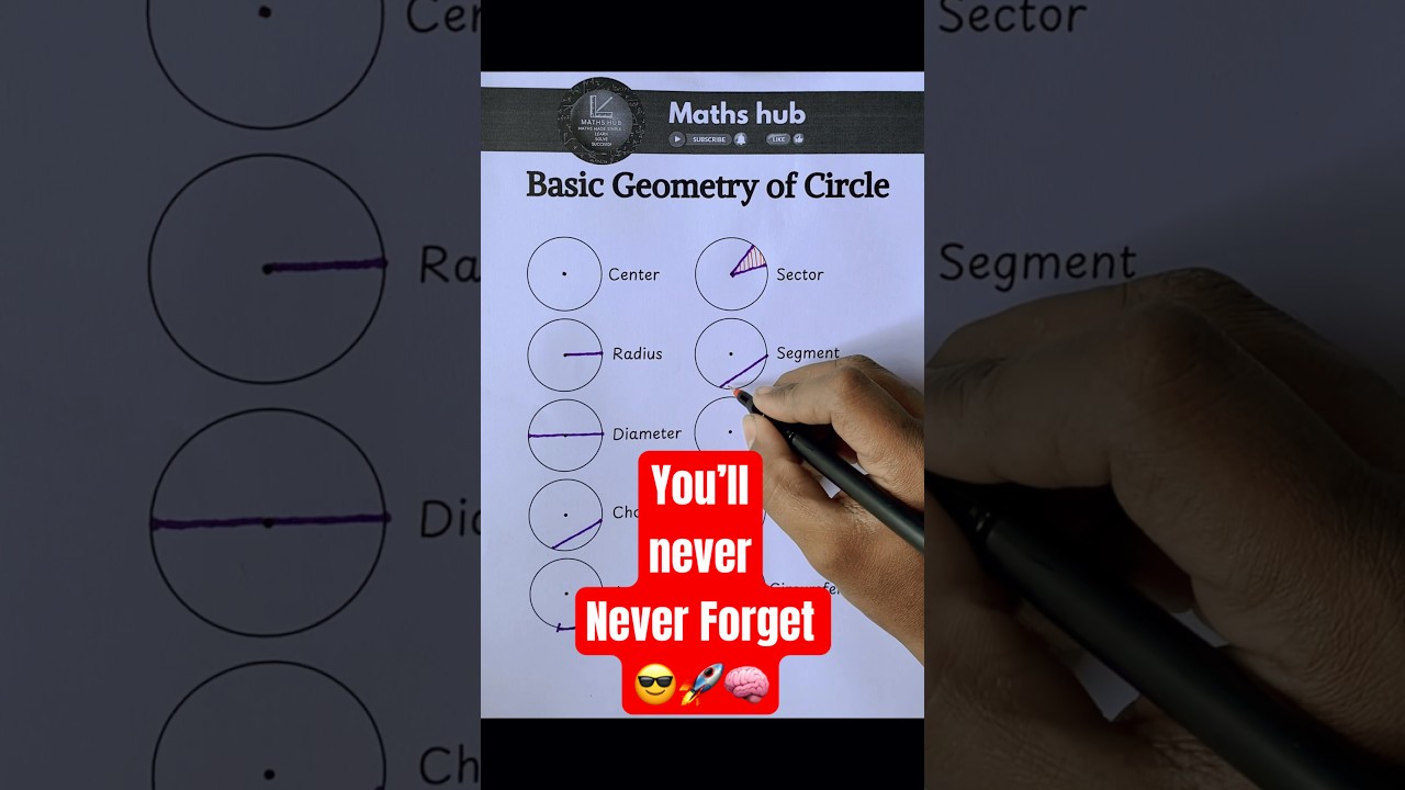 Master the Basics of Circle Geometry in Minutes! 🔵