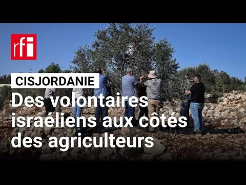Cisjordanie: des volontaires israéliens aux côtés des agriculteurs palestiniens, face aux colons