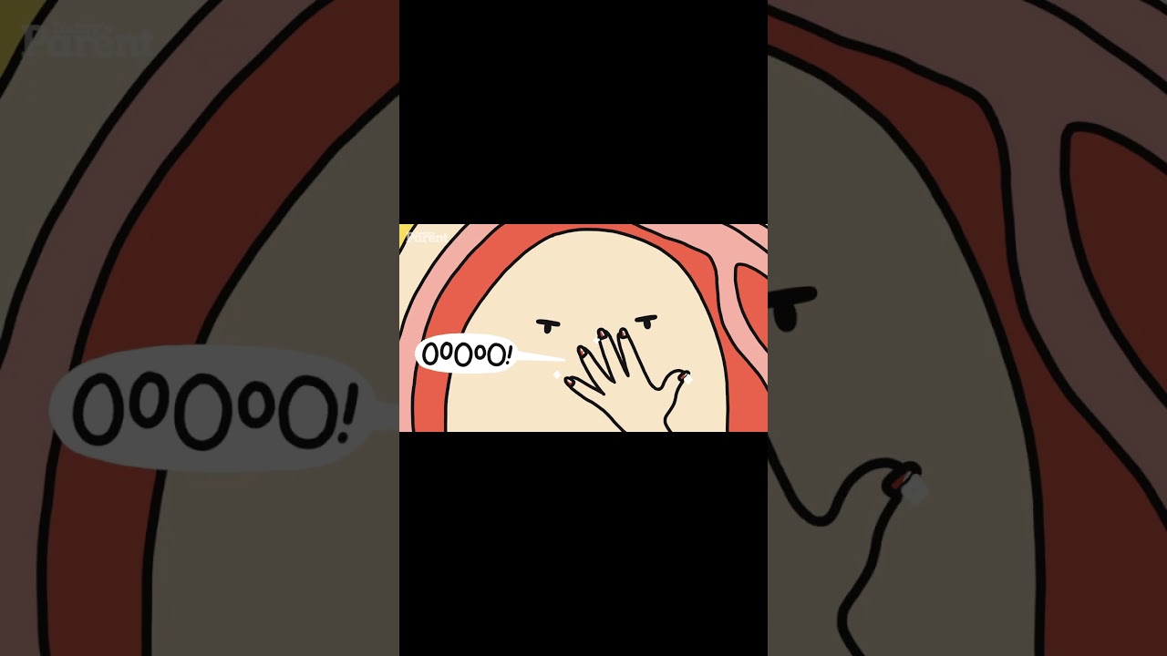 Week 32 Pregnancy Baby Development