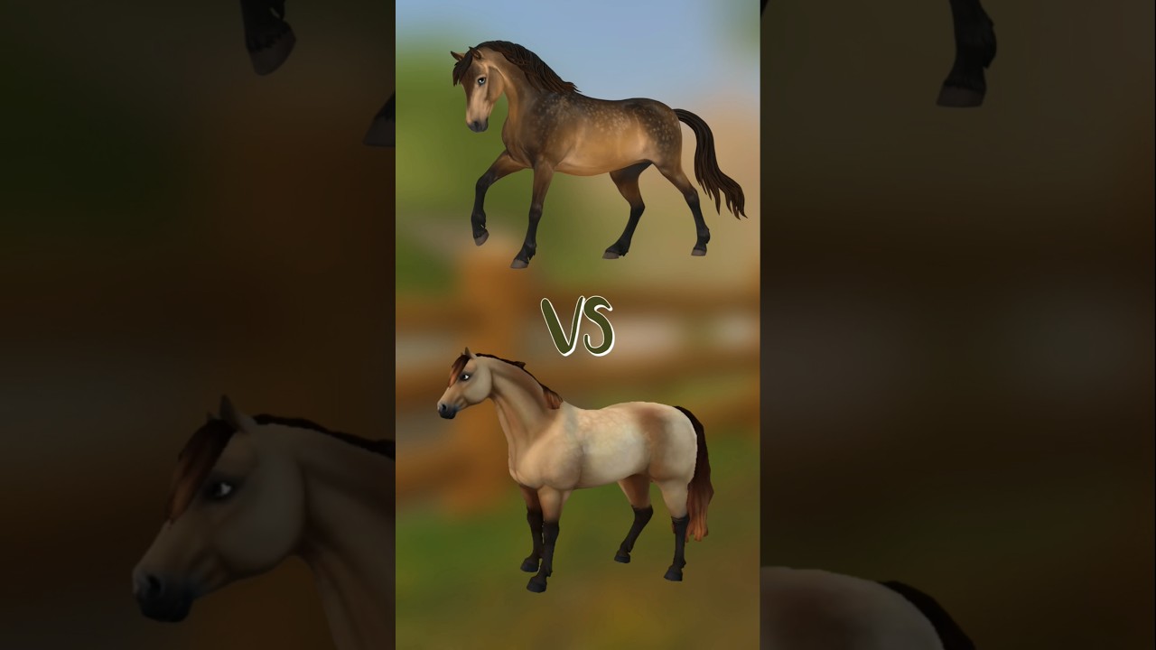 Confronto tra Connemara Nuovo e Vecchio✨