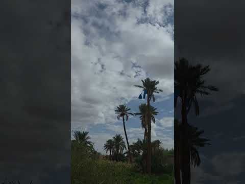 #errachidia #tinejdad #nature