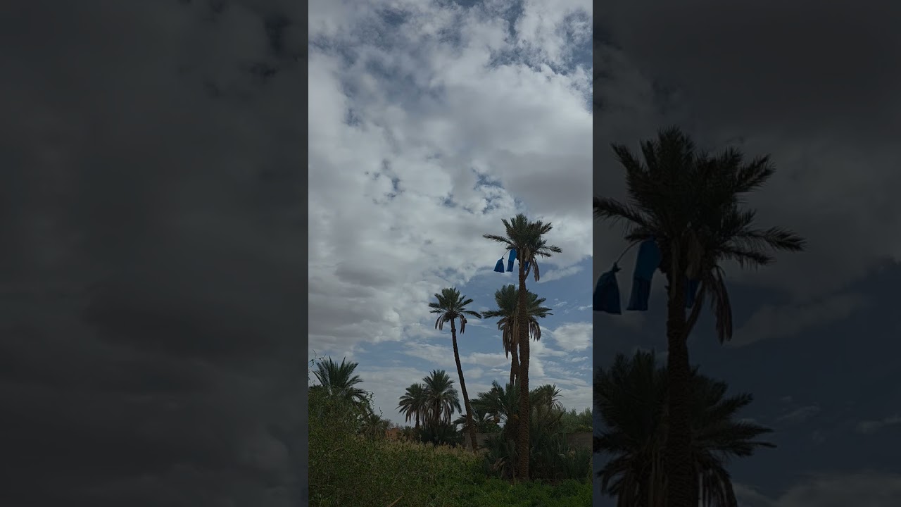 Discovering the Natural Beauty of Errachidia and Tinejdad