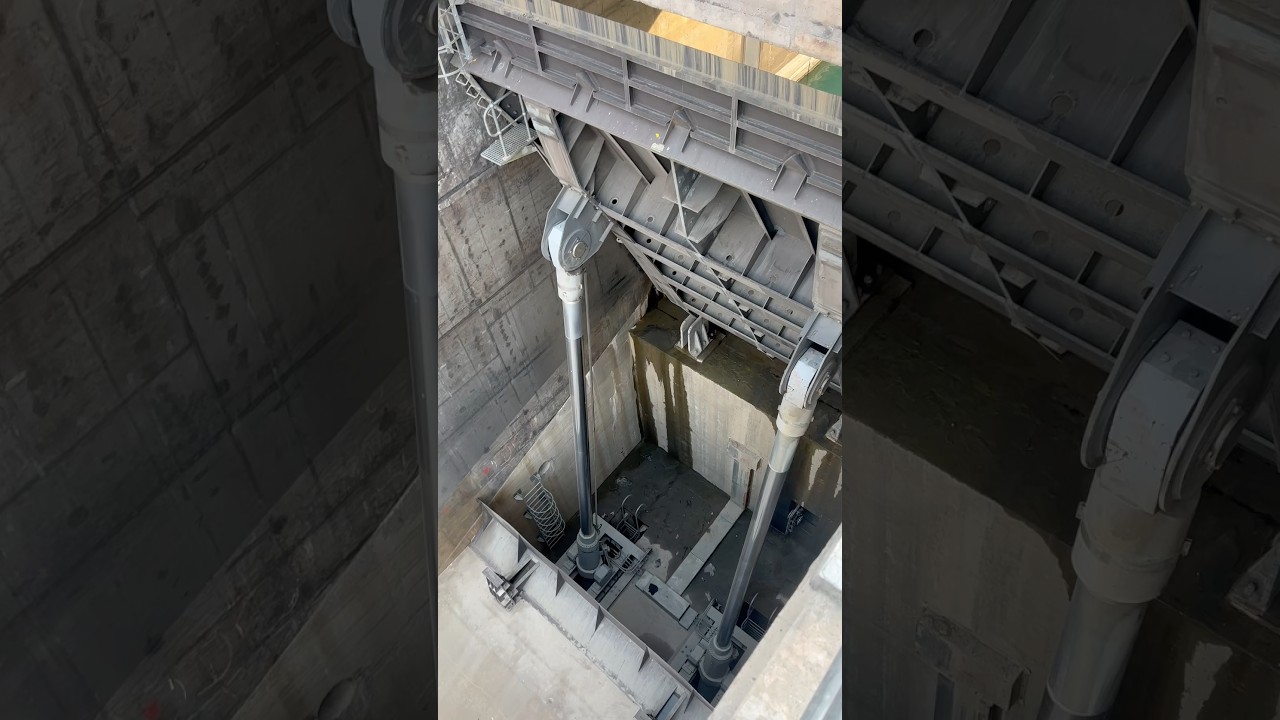 Submersed Flap Gate Overflow Dynamics