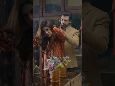 Shikwa Episode 49 | Promo | Sami Khan | Maria Malik | Yashma Gill | ARY Digital