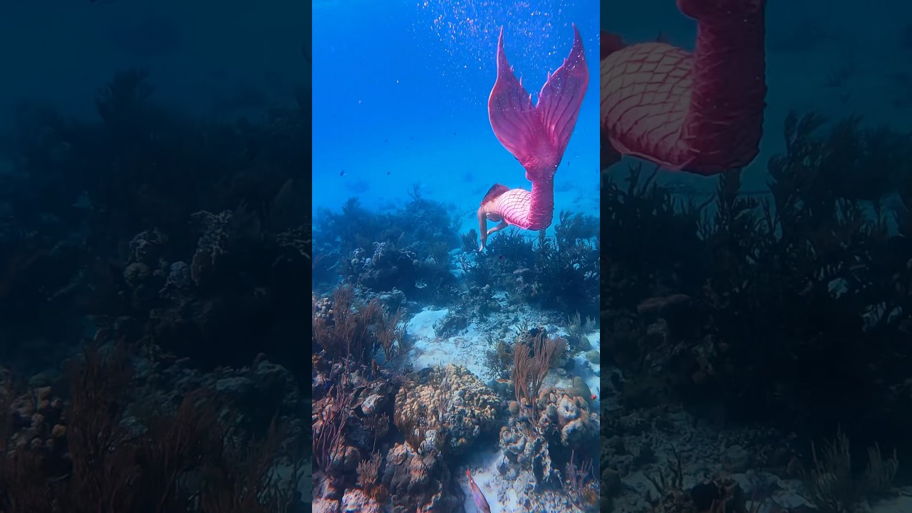 Mermaid Jules Swims in Clear Bahamian Waters 🧜‍♀️