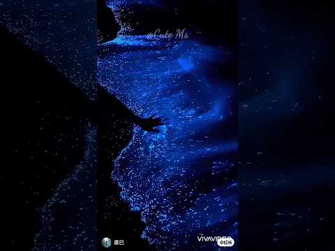bioluminescent plankton glow on beach in the maldives || entertainingpurposems #shorts #viral