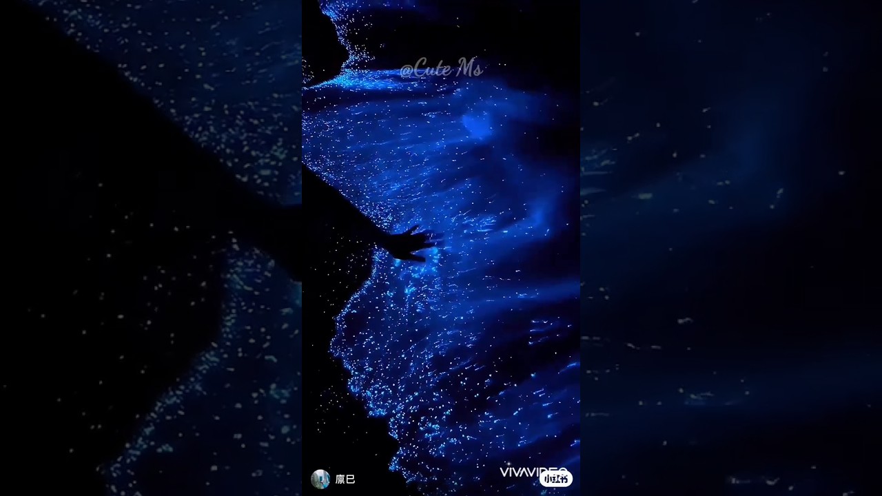 Magical Bioluminescent Plankton Light Up Maldives Beach ✨