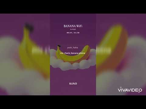 BANANA WiFi - Singmi