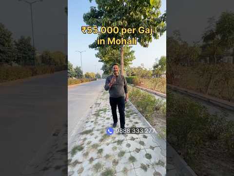 Plots in Mohali | Investmemt & Living | Emmar #aerocity #gmada #mohaliproperty #mohaliproperties