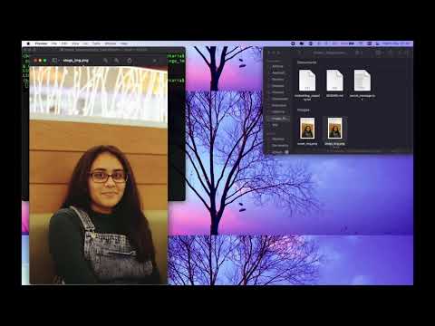 Experiments with Image Steganography by Krusha Vekaria
