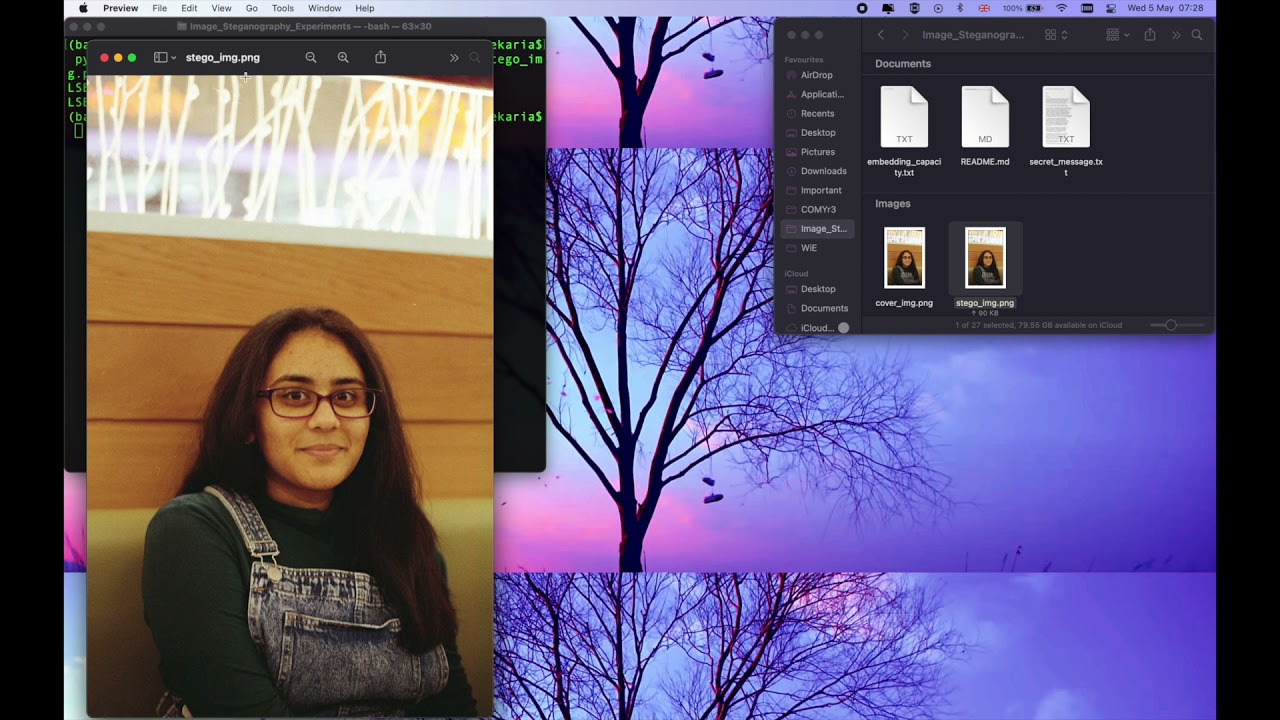 Unlocking Hidden Secrets: Krusha Vekaria's Image Steganography Experiments 🎨