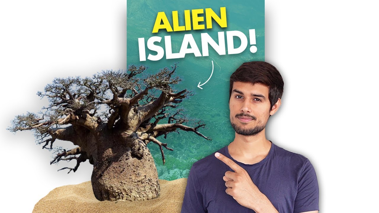 Discover the Most Bizarre Island on Earth! 🌴