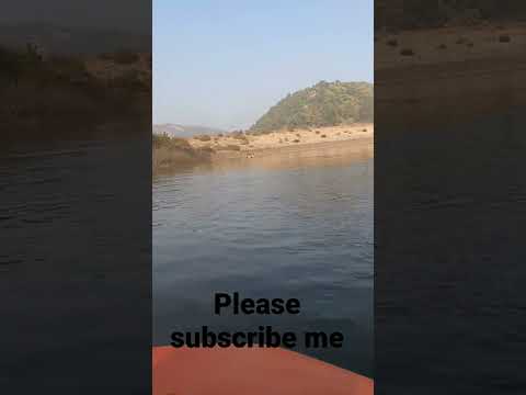 @sudhakushwaha3271