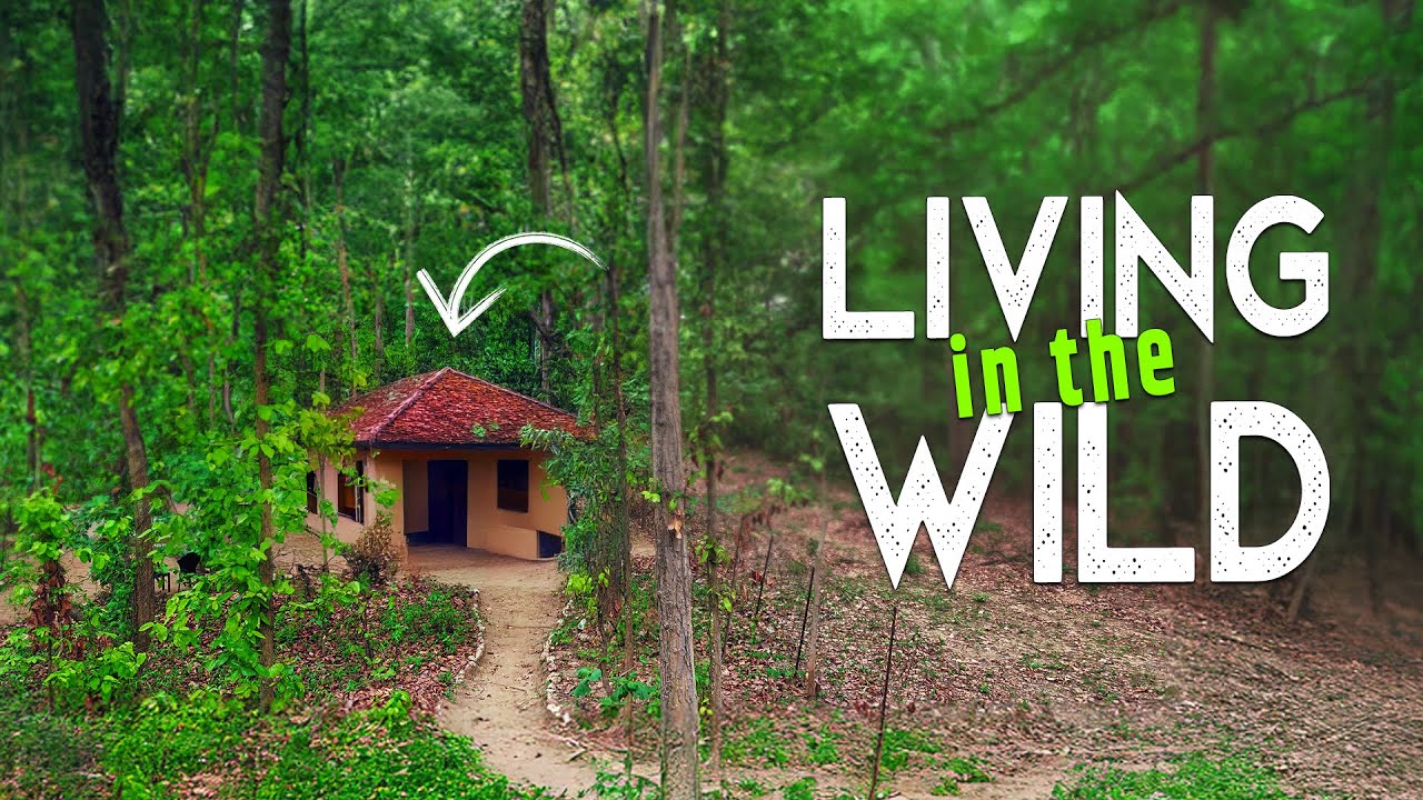 Saccharum Safari Lodge: Kanha's Hidden Gem 🌿