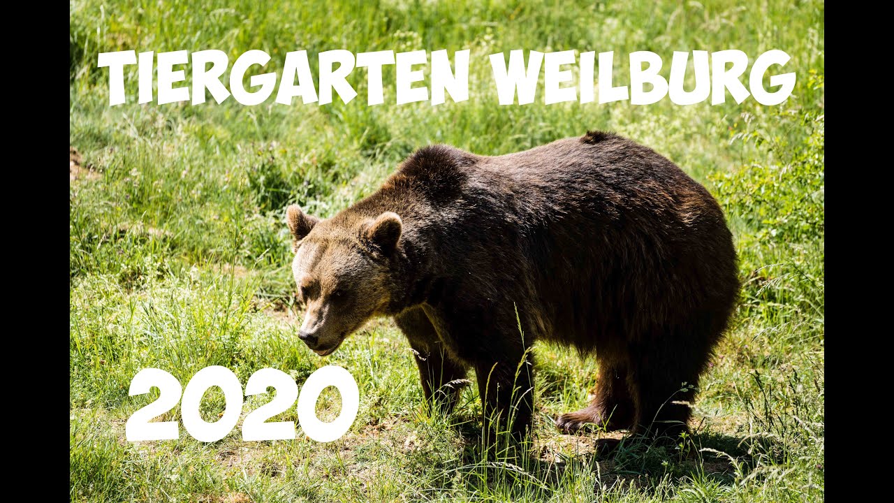 Tiergarten Weilburg 2020 🐻