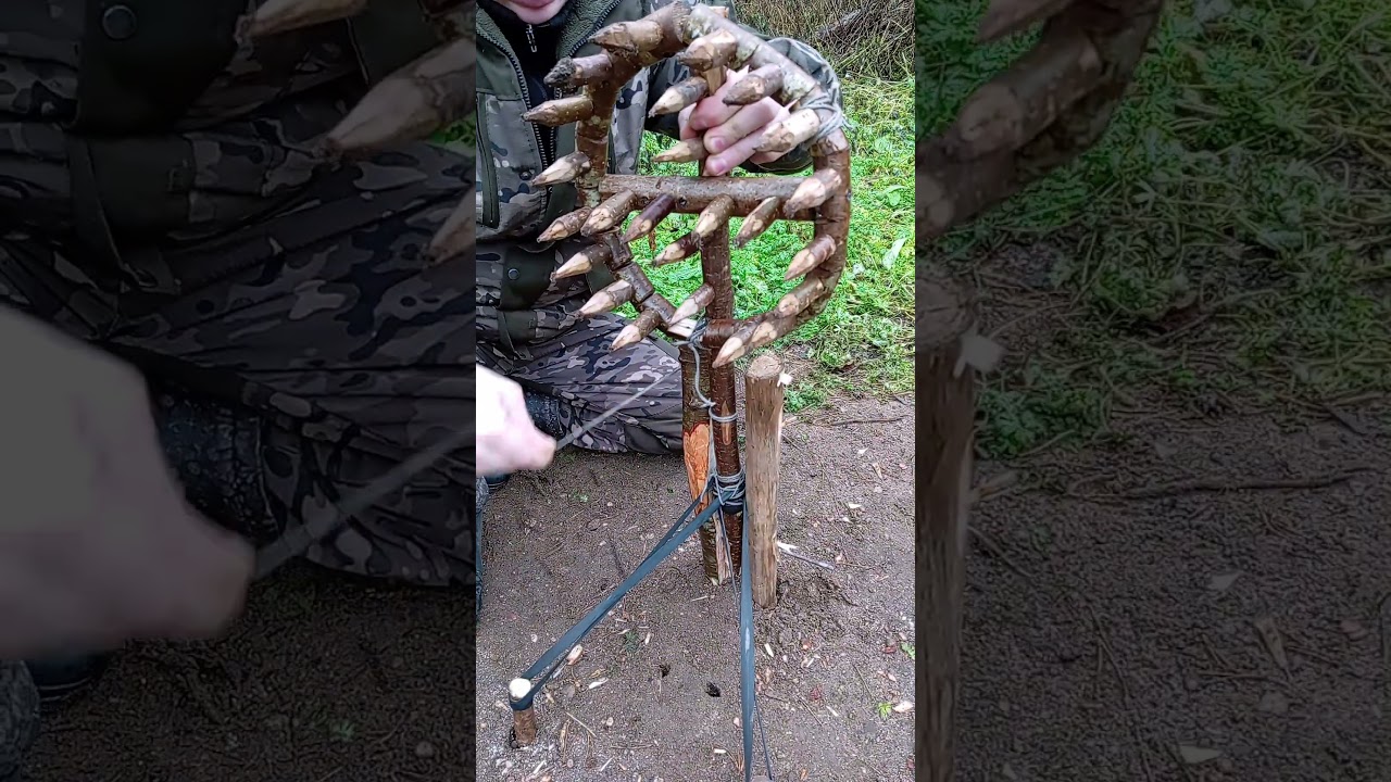 Understanding Common Pitfalls in Survival and Trapping Scenarios