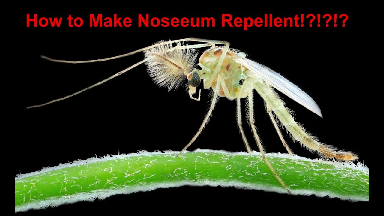 DIY No-See-Um & Midge Repellent 🦟