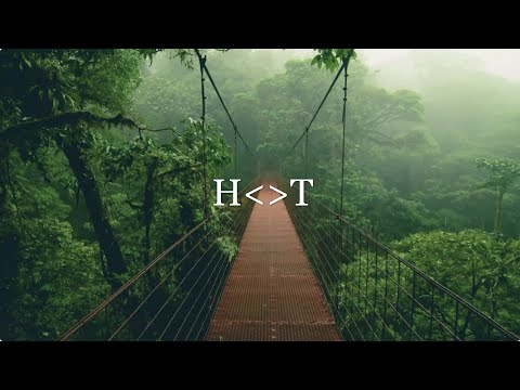 The Godfathers Of Deep House SA - Into The Forest (Nostalgic Mix)