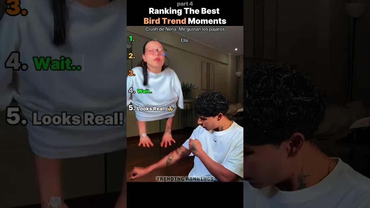 Top 10 Funniest Bird Trend Moments 😂