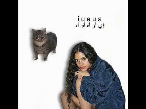 OIIA Cat x Khatfoony | Amr Diab ft. Jana Diab #amrdiab #arabic #song #cat