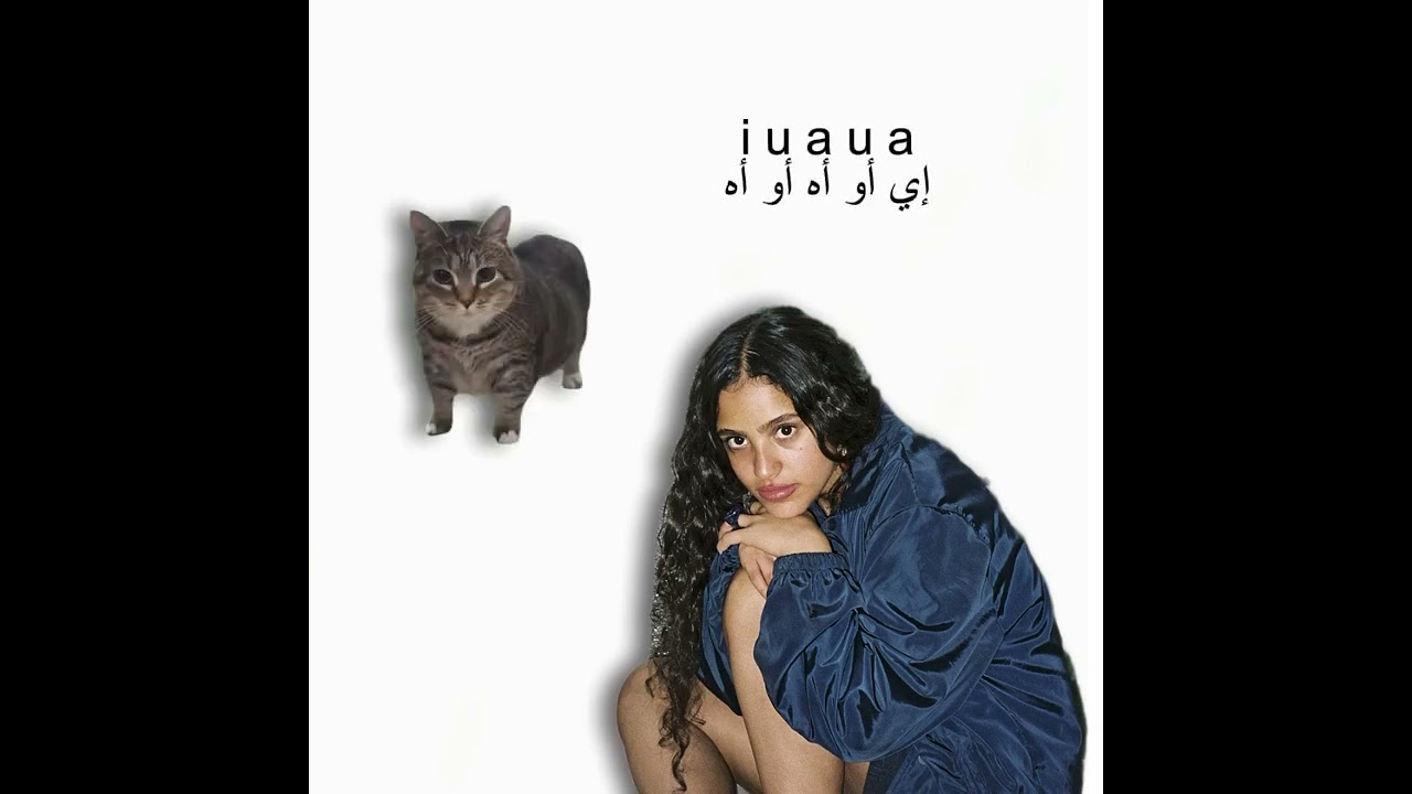 OIIA Cat x Khatfoony ft. Amr Diab & Jana Diab 🎶 | Arabic Hit Song